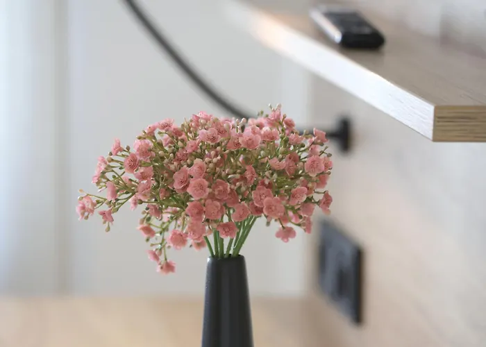 3-2-1meins Muengstener Bruecke Appartement